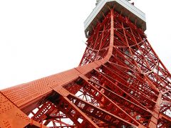 東京タワー大展望台からの眺望　☆51年目の変容は・・