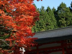 世界遺産！紅葉の参詣道　高野山　その四