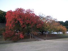 閑谷学校の紅葉