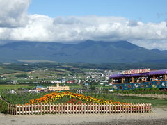 北海道～富良野編～