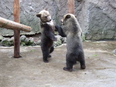 北海道～札幌、室蘭、洞爺湖～