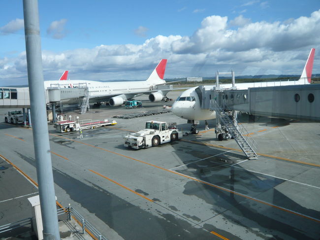 ３泊４日の北海道旅行もあっという間にフィナーレとなってしまいました。<br />帰路便は新千歳空港発11:10だったので、どこにも寄れずに帰路につきました。