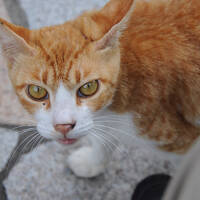 夏の終わりの北陸路【１】～那谷寺と加賀温泉郷～