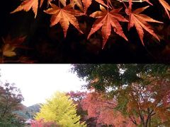 ちょっと早かったかな、河口湖・紅葉回廊