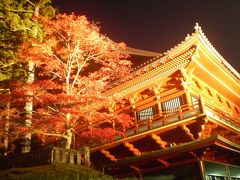 日光山　輪王寺　東照宮　ライトアップをほんの少し。。。