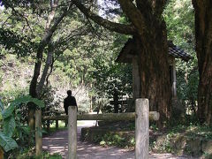 春の【島根】 ④［世界遺産：石見銀山］歩く。撮る。歩くっ。