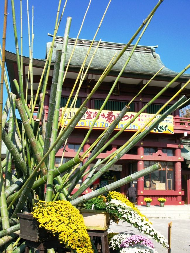 笠間稲荷神社のご祭神は宇迦之御魂神（うかのみたまのかみ）で、正一位という最高の位をもつ神様です。日本三大稲荷のひとつである当社の御創建は、社伝によれば第３６代孝徳天皇の御代、白雉２年（651年）とされ、１３５０余年の歴史を有する由緒ある神社です。 <br /><br />　食物の神、農業の神さまとして崇敬されていました笠間稲荷大神さまは、商工業が盛んになるにつれて殖産興業の神さまとしての信仰も広まり、近世になると農家ばかりでなく商家、町屋、武士、大名にいたるまでご分霊をいただき、屋敷神や家庭神、地域神としてお祀りされるようになりました。 <br />今日では関東はもとより、全国から年間３５０万余の人々が参拝に訪れています。（下記より引用）<br /><br />笠間稲荷神社については・・<br />http://www.kasama.or.jp/<br /><br />第102回笠間の菊まつりについては・・<br />http://www.kasama.or.jp/event/kiku.html<br /><br />