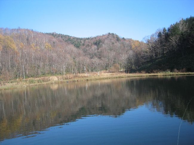 今シーズンの湖、川での釣りは終了(但し、12月１日解禁する洞爺湖には参戦する予定)しました。<br />天気の良い日は釣りの虫が騒ぎ出す・・・そいつをなだめるには管釣り(管理釣り場)しかない。札幌近郊の管釣り場を廻ってみることにした。初めに浜益にある岩崎養魚場(浜益フィッシングパーク)へ、11月6日は天まで抜けるような青空、前日まで冬模様だっただけにこの青空は嬉しい。国道231線を北へ望来、厚田を抜け海岸線を走る。峠を越し浜益に入る。黄金山、別名「黄金富士」または「浜益富士」呼ばれる山がくっきり見える。<br />浜益の入口の最初の信号を右折し国道451線を滝川方面へ、浜益温泉を過ぎ浜益川を渡って少しすると右側に大きな「つりぼり」看板ありそこを右折すると岩崎養魚場(浜益フィッシングパーク)に出る。<br />ここは私が一番好きな管釣り場で十数年前から通っている。ここの魚は抜群に素晴らしい・・・なっと云っても自分の所で育てたニジマス(スチールヘッド)を池に放しそいつを釣らしてくれるパワーがあり、フッキングするとバンバンジャンプしてくれる。また他の管釣り場と異なるのが釣った魚を持ち帰る事が出来る。よっていつでも元気な魚が相手をしてくれる。<br />ルアー・フライ池の他にやまべ釣堀があり子供や女性にも簡単に釣りを楽しむ事が出来ます。<br />