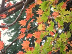 六甲山に秋を訪ねて