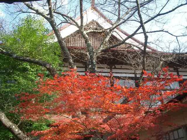 桜で有名な高遠城址公園。桜の葉の紅葉を見に、寄ってみました。いいところです。
