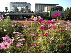 千葉市花の美術館　　