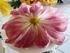 09秋 西本願寺と菊花展 4 11月8日 4 切花品評会 一文字菊 厚物大菊 管物大菊 京都駅周辺 京都 の旅行記 ブログ By 旅人のくまさんさん フォートラベル