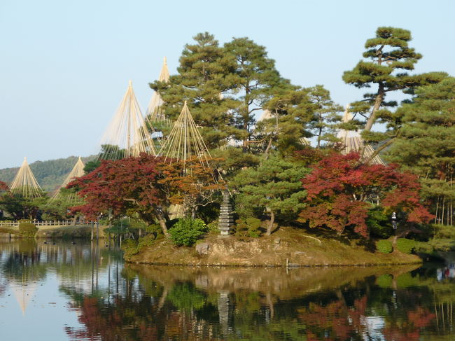 雪吊りは終わっていても、紅葉はまだ色付き初め・・・