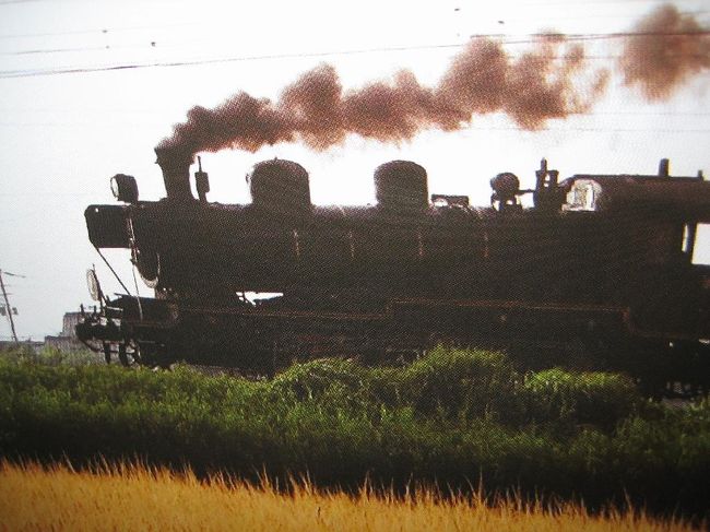 いつか熊本には遊びで行きたいけど。。<br />と思いつつ。。。日々過ごしておりました。