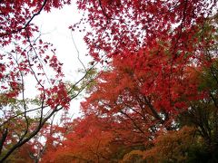 大河内山荘　～　嵐山・嵯峨野　　（その１）