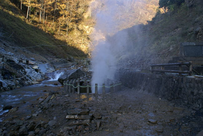 温泉に入浴するサルで有名な地獄谷に行ってみた。<br />湯田中温泉の一番奥にあり、外国人観光客も多い。<br />表紙は人間の入れる露天風呂のそばにある噴泉で、この奥に公苑がある。<br />入場料は500円<br />サルは朝から夕方まで見られるが、夜は山の棲みかに帰っているようだ。