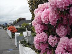 NZ 南島のアシュバートンに３泊 ：散歩と休息だけの町