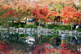 2009秋、東寺(3/4)：瓢箪池の紅葉、五重塔、金堂