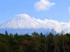 愛犬奉公記・・・わんこのお宿