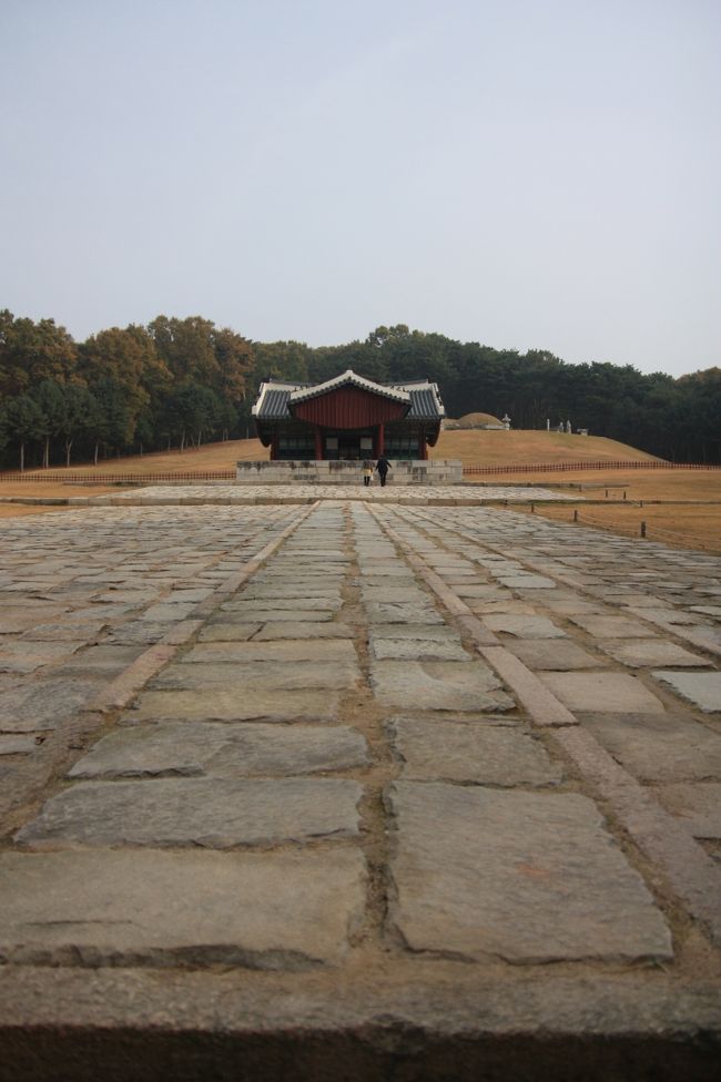 韓国旅行２日目、この日は観光に徹しようということで、”新４大世界文化遺産めぐりツアー”に参加することにしました。<br /><br />朝８時に集合し、４つの世界遺産をめぐるツアーで、帰りは１７時とほぼ１日がかりです。<br /><br />⇒①隆陵・健陵（ユンルン・ゴンルン）<br />　②水原華城（スウォンファソン）<br />　　昼食（石焼ビビンバ）<br />　③昌徳宮（チャンドックン）<br />　④宗廟（チョンミョ）<br /><br />タイトルに”新４大・・”となっていますが、なぜ”新”なのかというと、一番最初に行ったこちら隆陵・健陵が、ついこの間、２００９年６月に世界文化遺産として登録されたばかりだからです。<br /><br /><br /><br />◎ ■■□□■■　韓国旅行　０９年１０月～　■■□□■■<br />http://4travel.jp/traveler/minikuma/album/10394224/ <br /><br />