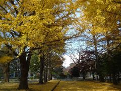 2009 ”11月 札幌～函館へ・・紅葉　温泉　思わぬ雪景色に・・(^^)その①