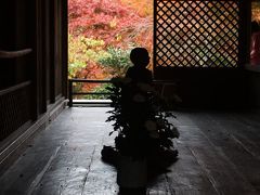 京都を歩く(37) 秋の紅葉めぐり　高山寺・神護寺へ～清滝から東海自然歩道を行く～
