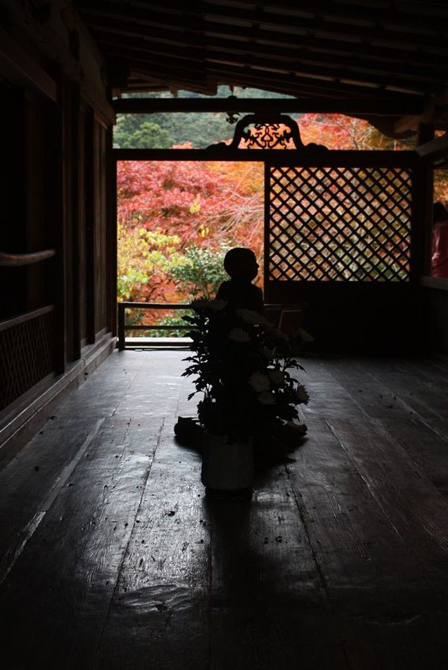 京都市北西部の三尾(栂尾，槇尾，高雄)は紅葉の見頃を迎えていました。<br />栂尾の高山寺，高雄の神護寺の紅葉，ついでに清滝の紅葉も見たい。<br />それを実現するプランとして思い立ったのが，嵐山・嵯峨野から東海自然歩道を通り，清滝経由で高山寺・神護寺へと行くコース。<br />こんな行きかたをする人はあまりいないとは思いますが，紅葉をたっぷりと楽しむことが出来ました。<br />