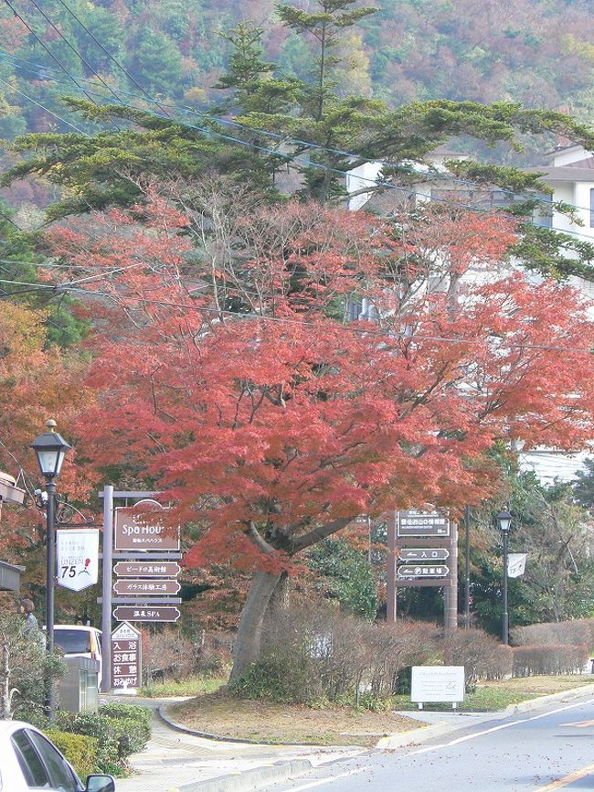 楽しみにしていた雲仙の紅葉。<br />他のトラベラーの旅行記を見ていたら、11月の初めに<br />見頃となっているではないですか!<br /><br />というわけで、慌てて雲仙温泉へ一泊しに行きました。<br />