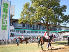 荒尾競馬場