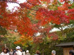 秋の京都大原