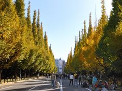 第１３回　神宮外苑いちょう祭り と銀杏並木の散歩！　（ ＾ー゜）