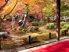 京都の紅葉◆朱色に染まる圓光寺