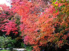 京都の紅葉◆詩仙堂と茶寮宝泉