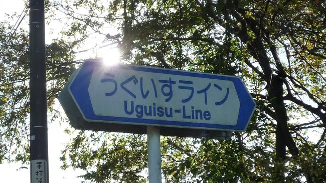 　31Km漕いで、自宅でシャワーを浴びて、ウ〜ン気持ちいい<br /><br />　とは、いかないのが我がテリカラ家。