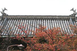 2009秋、尾張四観音・笠寺観音(4/4)：仁王門、石橋、本殿、玉照姫宮