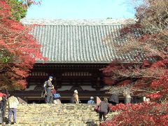 高雄「神護寺」の紅葉