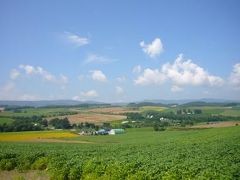 沖縄のはずが北海道！？　■4日目　美瑛～札幌へ