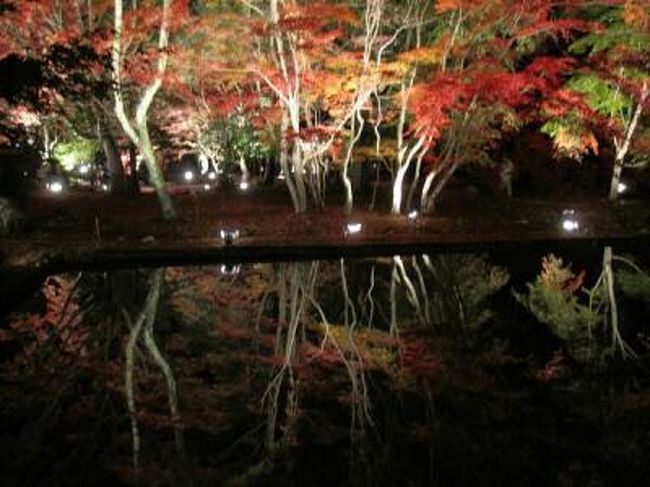 曽木公園の逆さ紅葉を見てきました