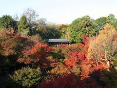 京都を歩く(38) 秋の紅葉めぐり　東福寺「通天紅葉」と特別公開・龍吟庵，即宗院を訪ねる