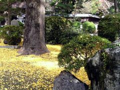 ひとり旅 ［645］ 晩秋～その１～黄葉がきれいでした＜岩国吉香公園の銀杏＞山口県岩国市