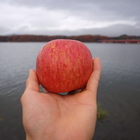 ぶらぶらいってきた東北一人旅１～つなぎ温泉盛岡編～