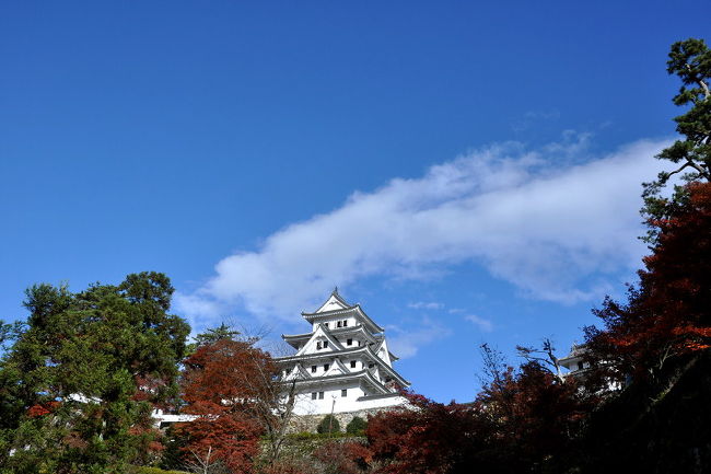 築城450周年記念郡上八幡城もみじまつり