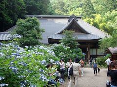 箱根「あじさい寺」