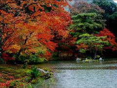 海外の友人を、京都の紅葉に案内。