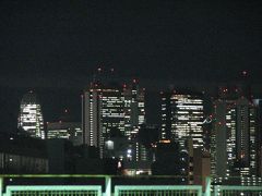 池袋駅付近から見られる夜景