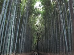 嵯峨野　竹林の道