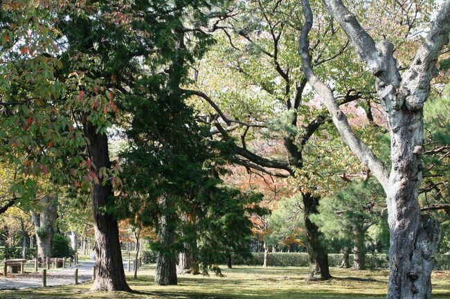 京都の世界遺産で、日本百名城の一つ、二条城紹介の締め括りです。