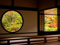 京都鷹峰の紅葉