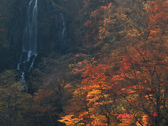 紅葉の宮城蔵王　三階の滝　/宮城県蔵王町