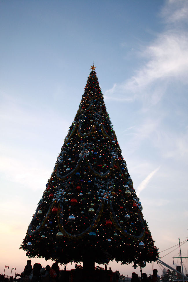 ディズニーシーに行ってきました。<br /><br />ハロインとクリスマスの間なので、それほど期待してなかったのですが、飾りつけは、クリスマスになってました。<br /><br />お客さんの入りもそれほど多くなく、かなりアトラクションに乗れました。<br /><br />お昼は、ホテルミラコスタの中にある「オチェーアノ」でとりました。<br />一応パークの外なのですがほとんどパーク直結ですのでアンバサダーホテルの「シェフ・ミッキー」みたいに歩く必要がありません。ただし、「オチェーアノ」にミッキーほかは、いませんが<br /><br />「オチェーアノ」は、ビュッフェスタイルで料理もおいしかったです。<br />また、ワインも良かったです。が、給仕がイマイチでした。<br /><br />今は、事前予約で行っています。事前と言いながら、当日の10時に電話することが多いです。が<br />http://www.disneyhotels.jp/dh/japanese/info/priority.html#nostay<br /><br />13時以降で予約すると、「オチェーアノ」のベランダからショーを見ることができます。レストランのスタッフが案内してくれます。<br /><br /><br />最近は、開園から閉園までいることが多いです。<br /><br /><br />【乗ったアトラクション】<br />1	クリスタルスカルの魔宮（３番人気）<br />2	海底２万マイル（４番人気）<br />3	アクアトピア<br />4	シンドバット・ストーリーブック・ヴォヤッジ<br />5	キャラバンカルーセル<br />6	マジックランプシアター<br />7	トランジット・スチーマーライン[メディテレーニアンハーバー行]<br />8	タートル・トーク<br />9	トランジット・スチーマーライン[ディズニーシー１周]<br />10	タートル・トーク【りゅう君のみ】<br />11	タワー・オブ・テラー（１番人気）【たがやすのみ】<br />12	タワー・オブ・テラー（１番人気）【たがやすのみ】<br />13	ジャンピン・ジェリーフィッシュ【りゅう君のみ】<br />14	センター・オブ・ジ・アース（２番人気）【たがやすのみ】<br />15	マーメイドラグーンシアター<br />16	レイジングスピリッツ（５番人気）【たがやすのみ】<br />17	スカットルのスクーター【りゅう君のみ】<br />18	スカットルのスクーター【りゅう君のみ】<br />19	スカットルのスクーター【りゅう君のみ】<br />20	スカットルのスクーター【りゅう君のみ】<br />21	ストームライダー（６番人気）【たがやすのみ】<br />22	海底２万マイル（４番人気）【りゅう君のみ】<br />23	海底２万マイル（４番人気）【りゅう君のみ】<br />24	海底２万マイル（４番人気）【りゅう君のみ】<br />25	海底２万マイル（４番人気）【りゅう君のみ】<br />26	海底２万マイル（４番人気）【りゅう君のみ】<br />27	海底２万マイル（４番人気）【たがやすのみ】<br />28	エレクトリックレールウェイ<br />29	ヴェネツィアン・ゴンドラ